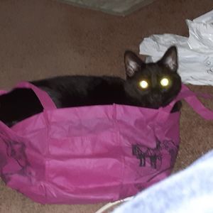 Meet your Posher, Sally